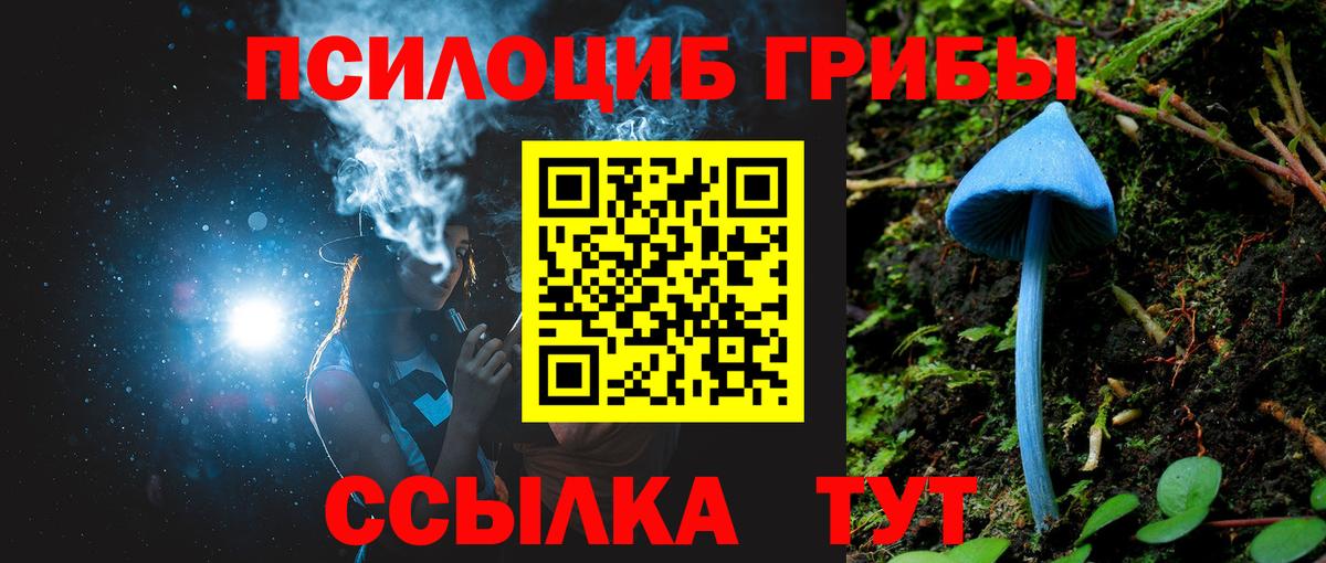 Псилоцибиновые грибы Psilocybine cubensis  Псилоцибиновые грибы мухоморы  Елизово  Вход с VPN 