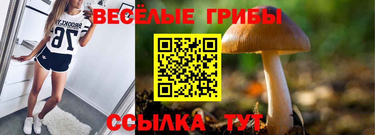 Галлюциногенные грибы Psilocybe Елизово