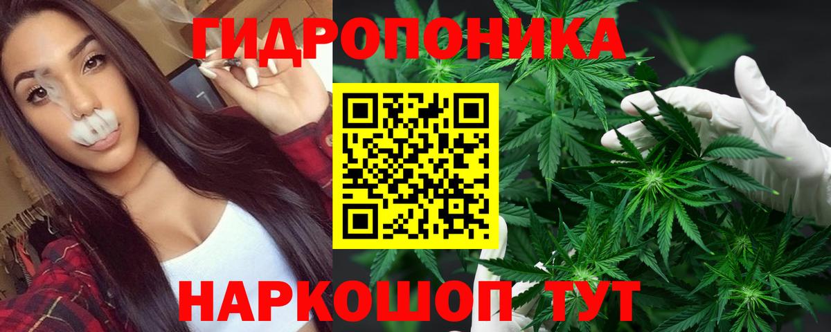 Елизово  Бошки Шишки Bruce Banner  МАРИХУАНА MAZAR  Вход с VPN  Бошки марихуана планчик 